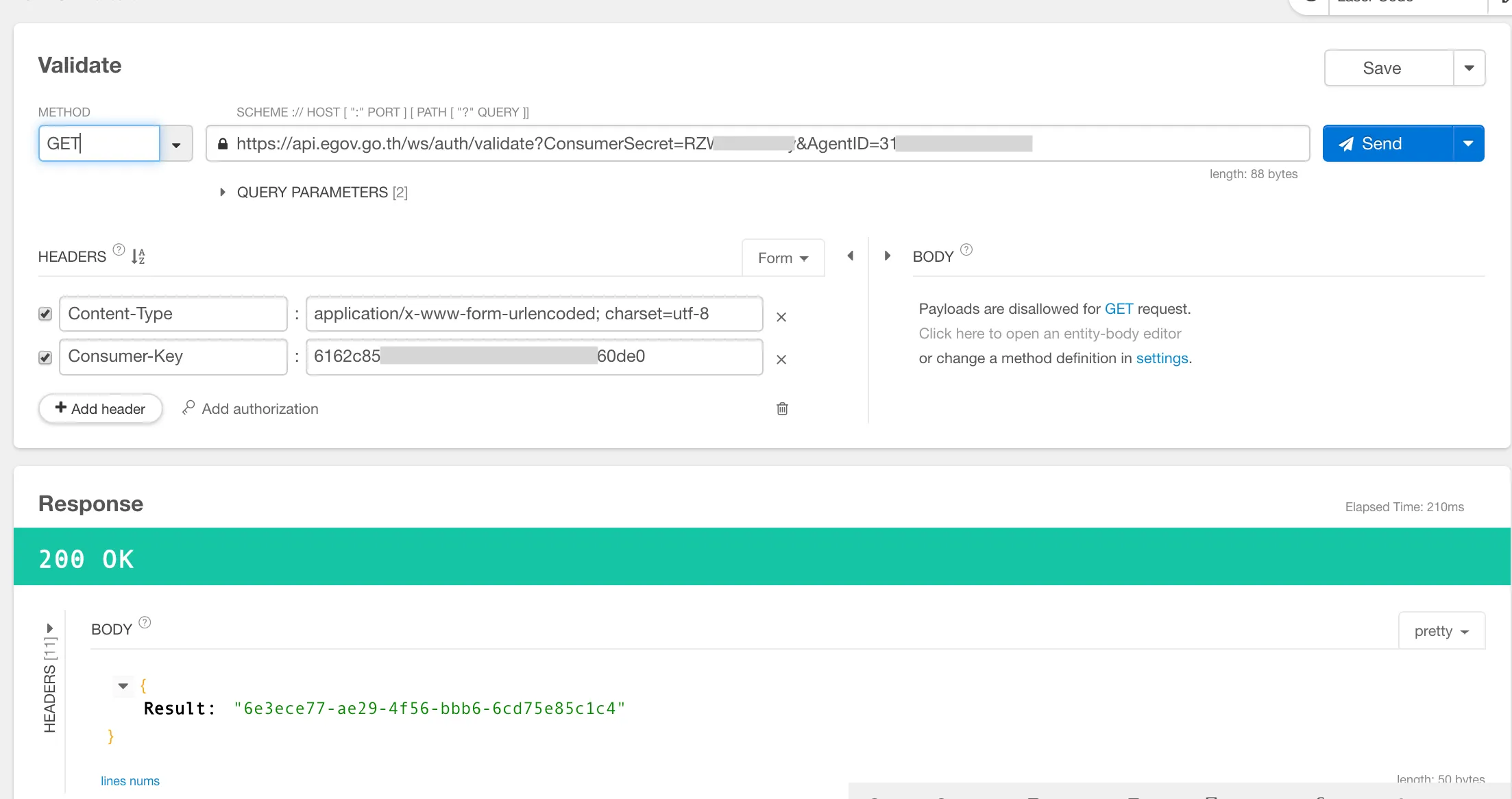 API Validation Step