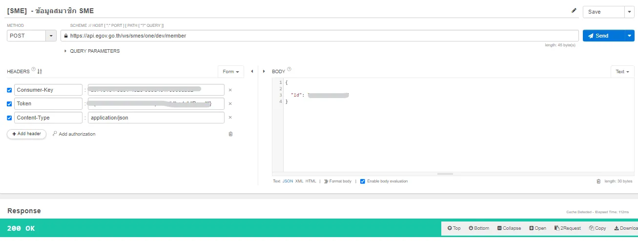 API Data Response